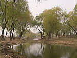 万湾风景