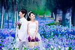 婚纱照