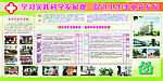 学习实践科学发展观    促进卫生事业新发展2cdr