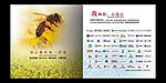 画册内5-6