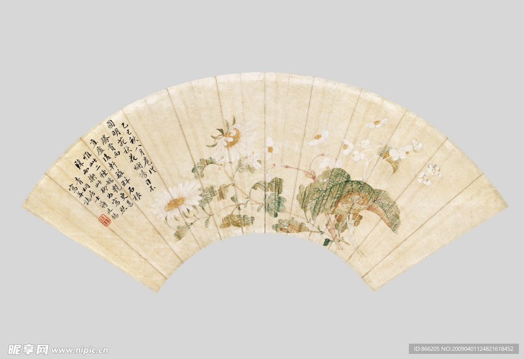 花鸟