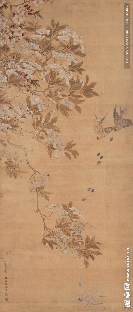 花鸟