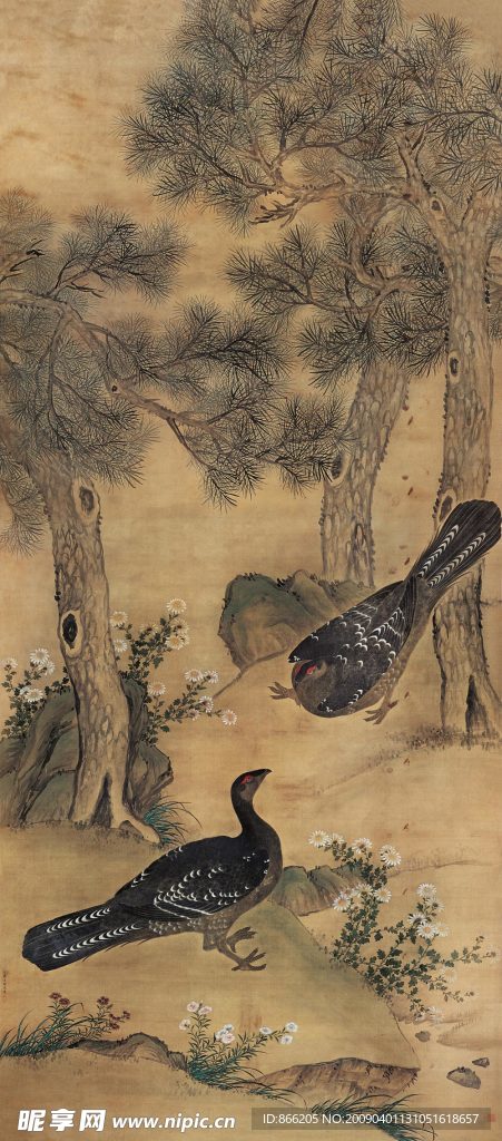 花鸟
