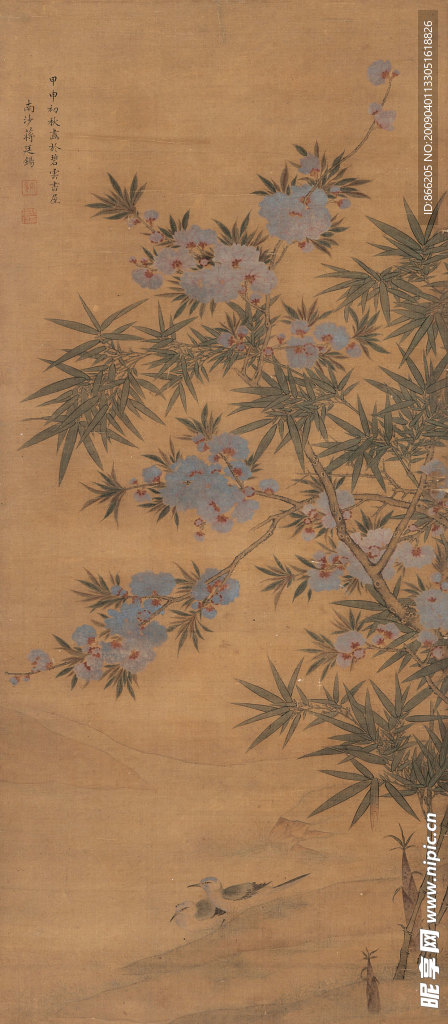 花鸟