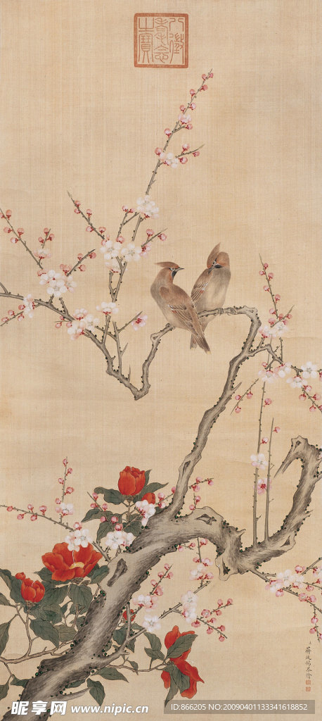 花鸟