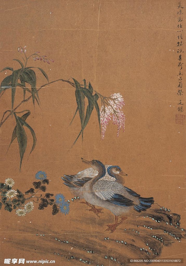 鸭图