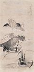 春江水暖鸭先知