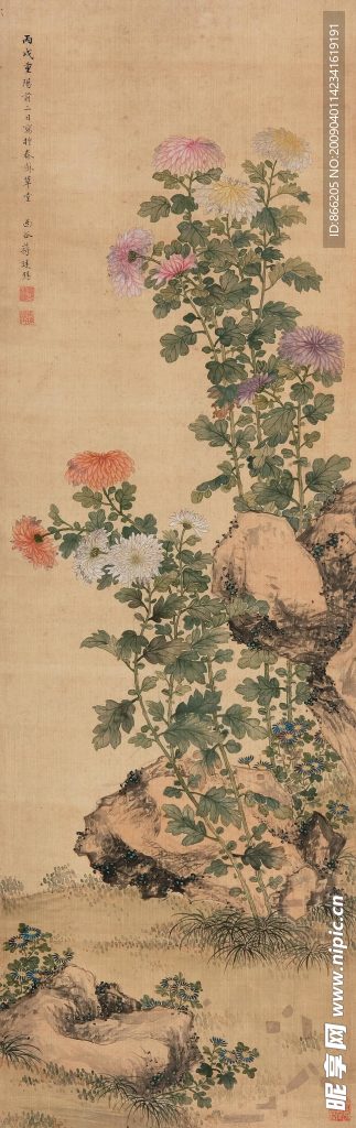 菊石图