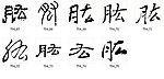 肱 书法字