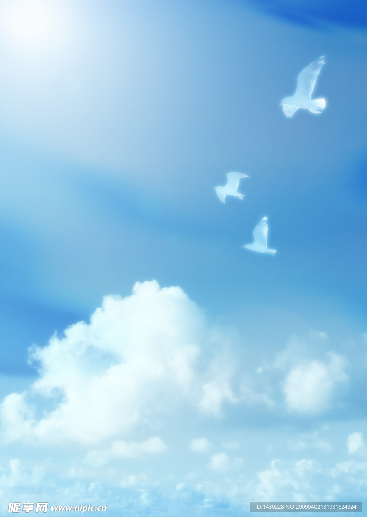 天空 阳光 白云  鸽子