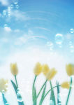 天空 阳光 白云 花 花瓶 水纹