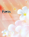 美丽花纹