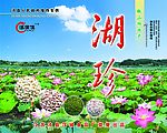湖珍 包装箱设计