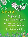 招聘海报
