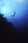 海底游泳