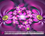 爱似繁花