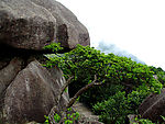 石牛山风景图9