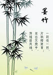 墨竹