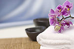 SPA 修身养性