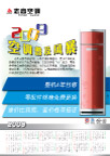 志高传单2