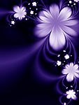 花朵背景