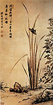 蝴蝶菖蒲图