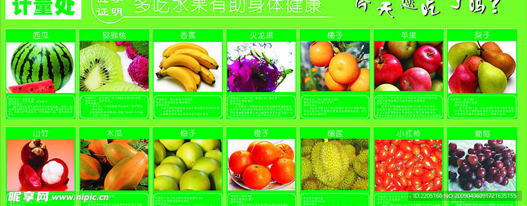 水果功能