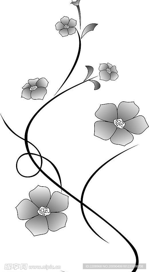 线条与花