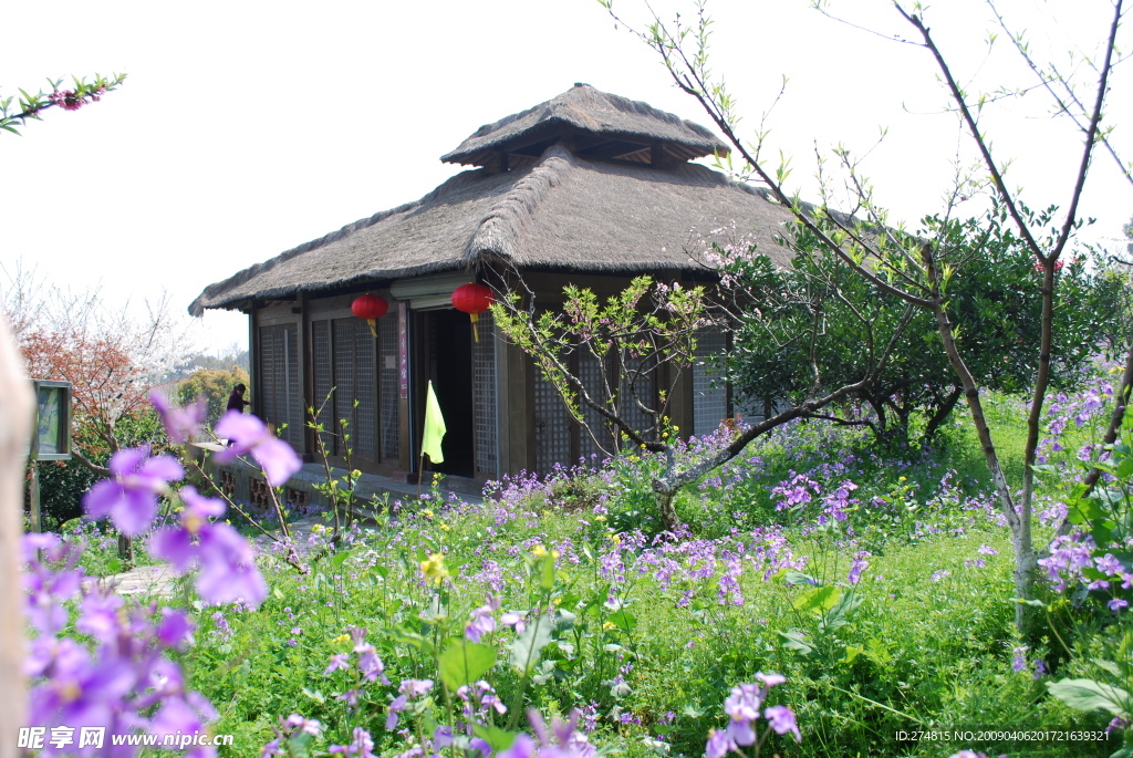 田园风光