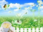 悠悠花草茶茉莉花茶