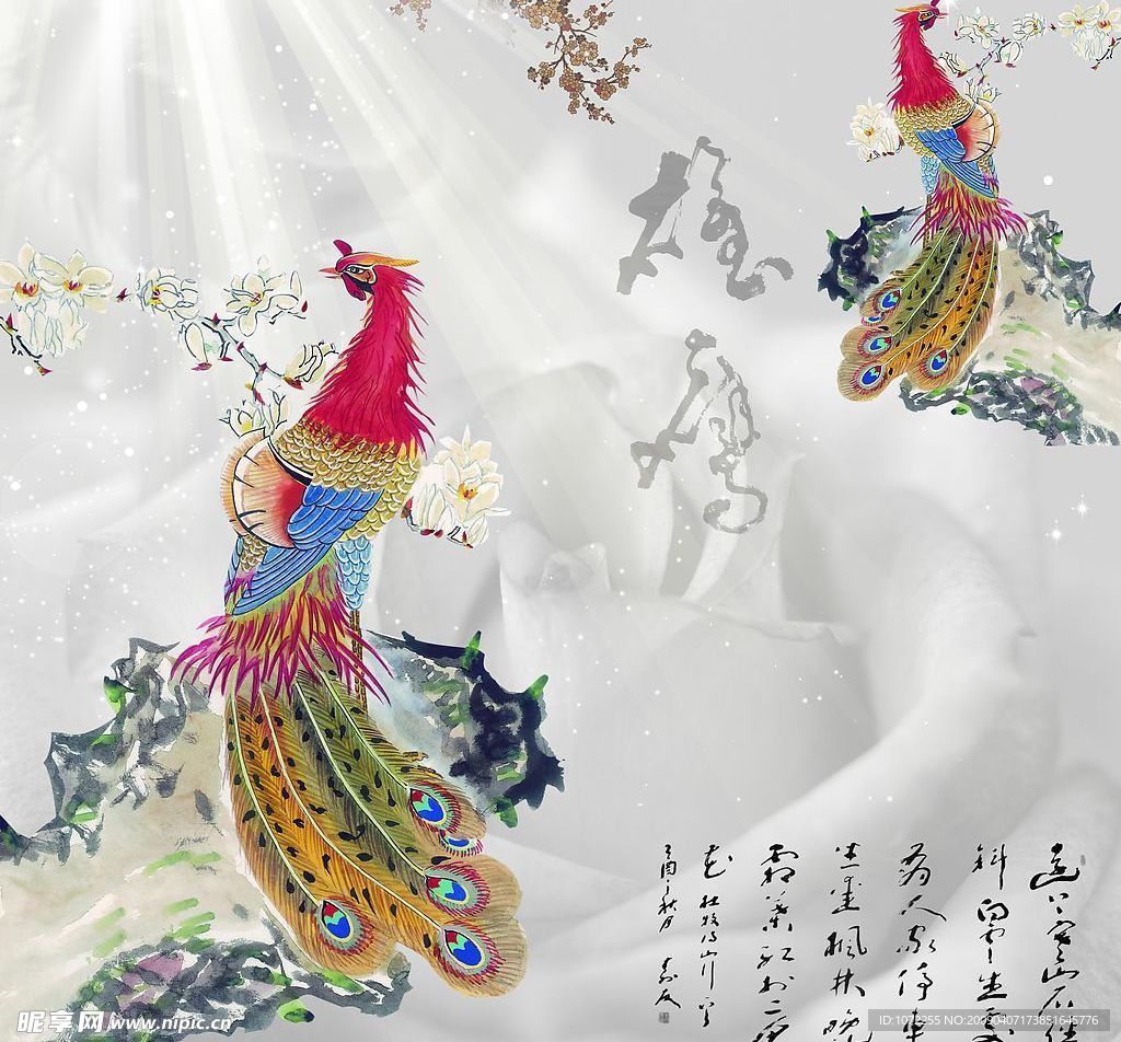 孔雀