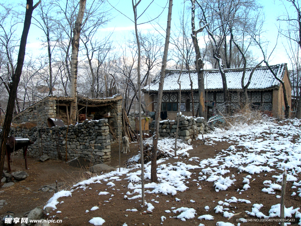 山村初雪