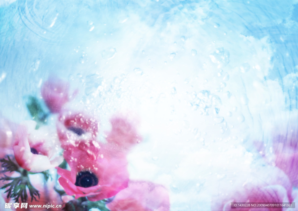 天 水泡 花