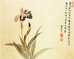 萱草图