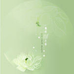 婚纱模板16