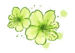 水墨效果花Bai