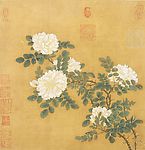 白蔷薇