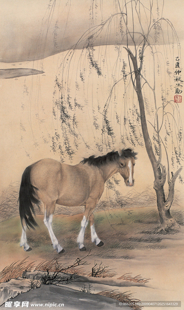 动物