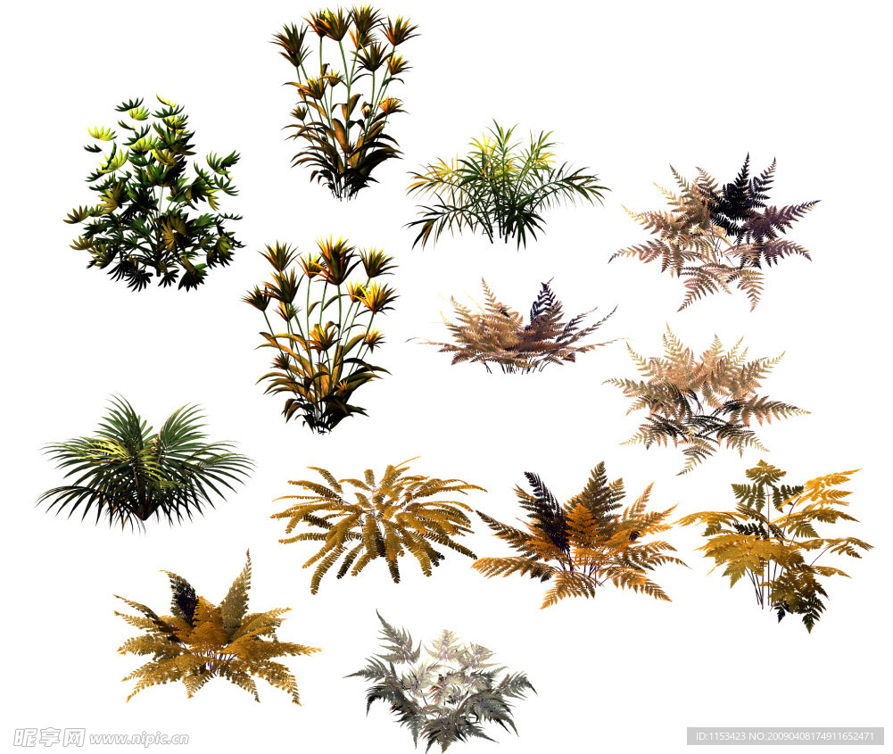 植物生物