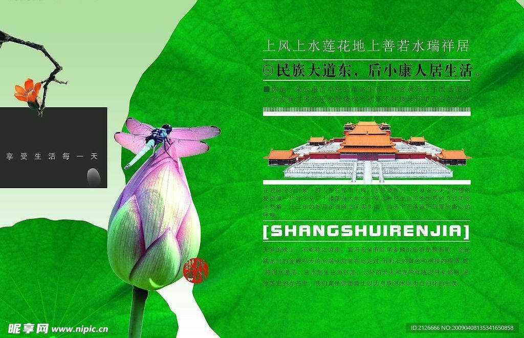 蜻蜓 荷花