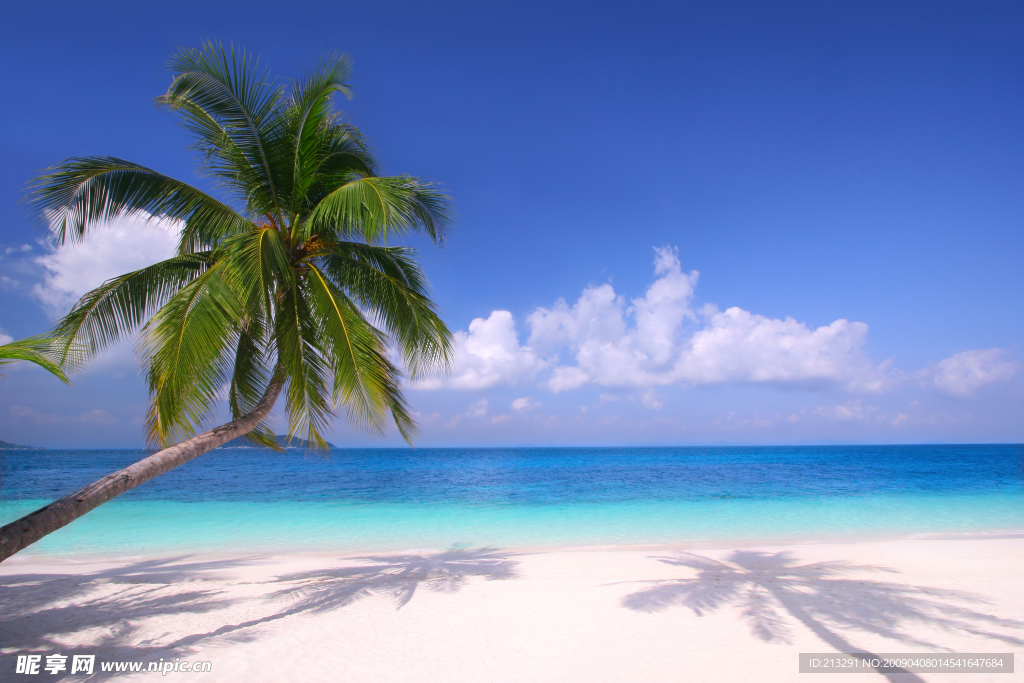 夏日海边沙滩风景