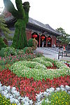 花卉
