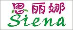 SIENA 艺术字体