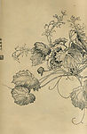 百花图谱65 金丝荷叶