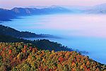 风景图