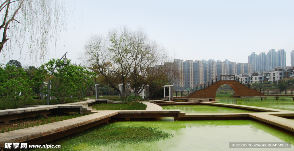公园风景