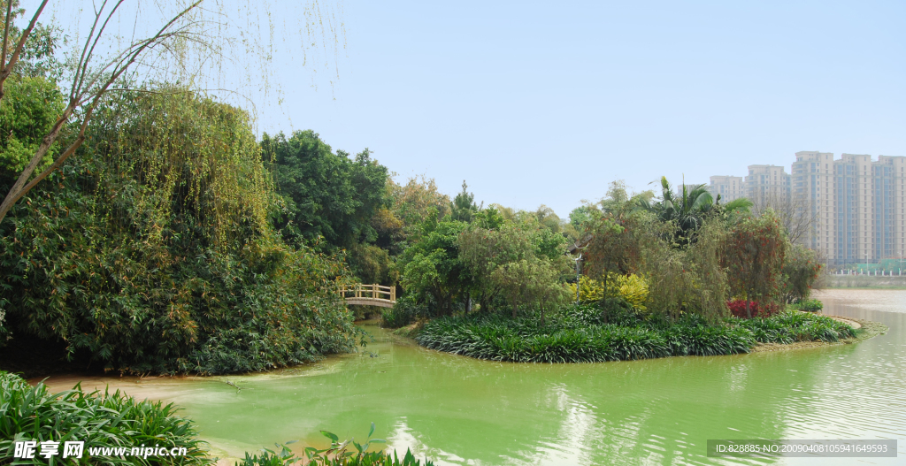 公园风景