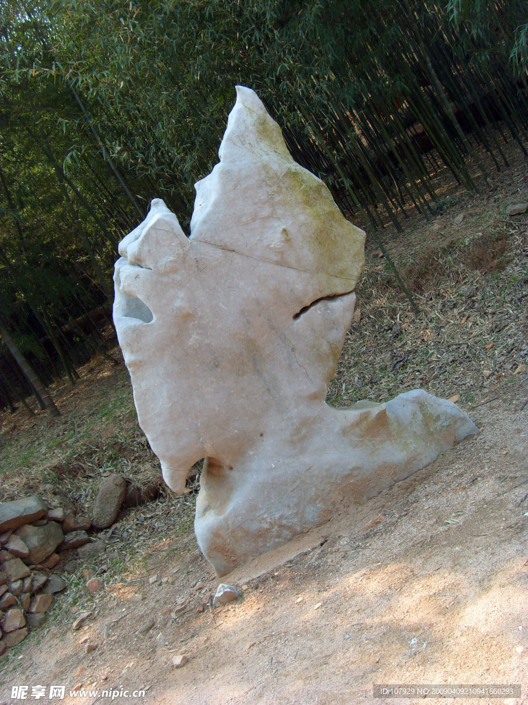 竹林与怪石