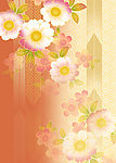 多彩迷人花卉07