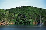 青山绿水